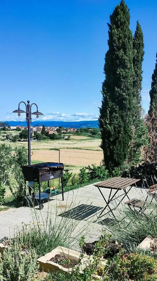 Holiday home The Olive Grove In Tuscany Toiano